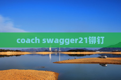 coach swagger21铆钉